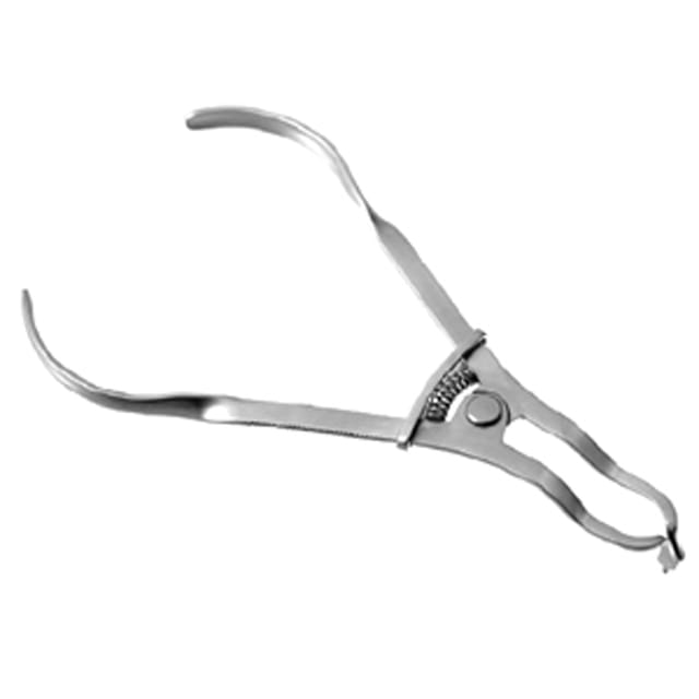 Ivory Rubber Dam Forcep