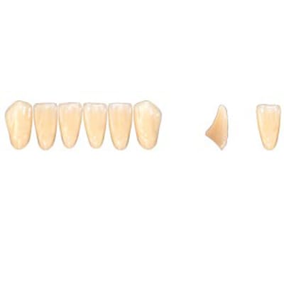 Pala Denture Teeth Mondial 6 Anterior CE - Lower L382