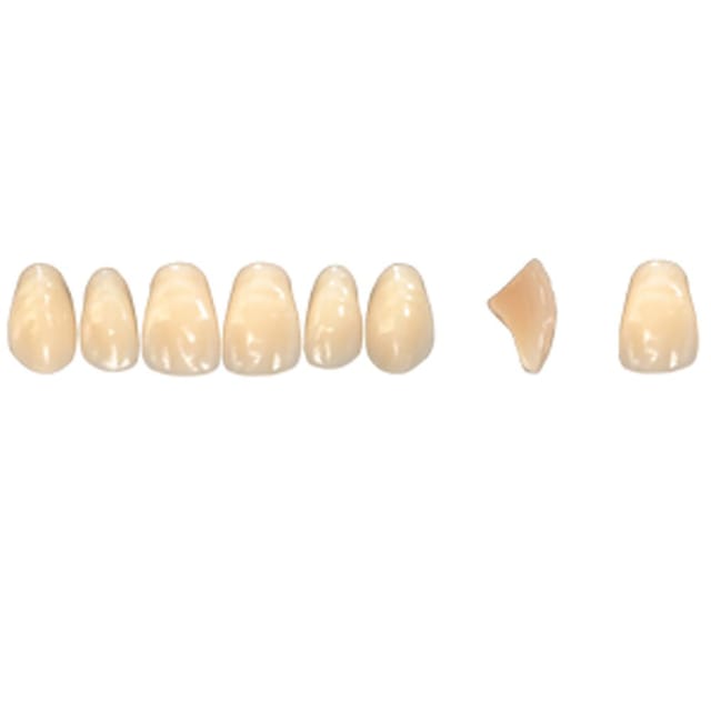 Pala Denture Teeth Mondial 6 Anterior CE - Upper O457