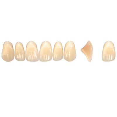 Pala Denture Teeth Mondial 6 Anterior CE - Upper O510E