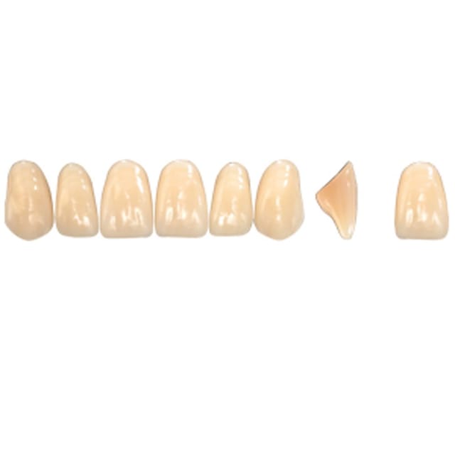 Pala Denture Teeth Mondial 6 Anterior CE - Upper O525