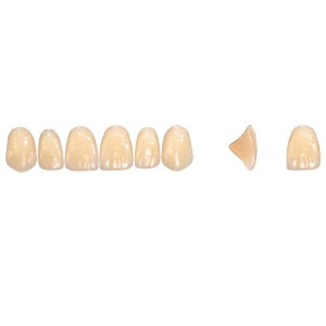 Pala Denture Teeth Mondial 6 Anterior CE - Upper R410