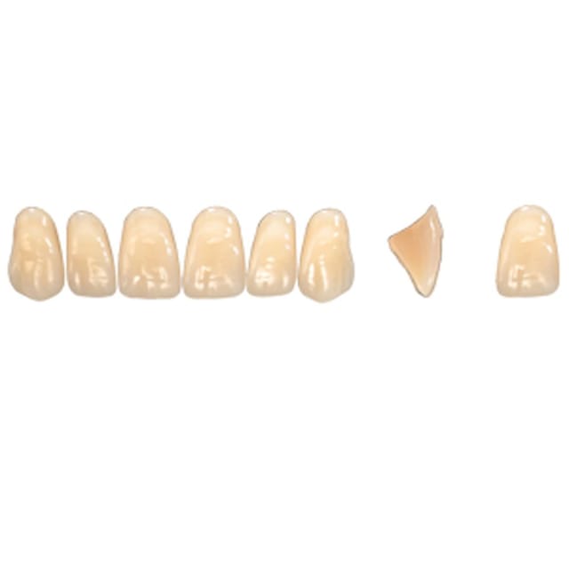 Pala Denture Teeth Mondial 6 Anterior CE - Upper R449