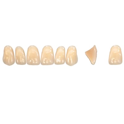 Pala Denture Teeth Mondial 6 Anterior CE - Upper R449E