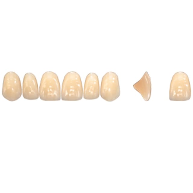 Pala Denture Teeth Mondial 6 Anterior CE - Upper S443