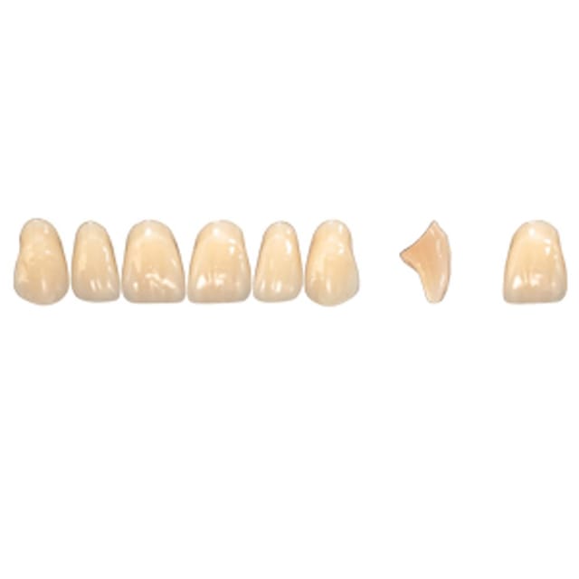 Pala Denture Teeth Mondial 6 Anterior CE - Upper S445