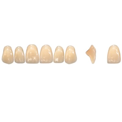 Pala Denture Teeth Mondial 6 Anterior CE - Upper S453E