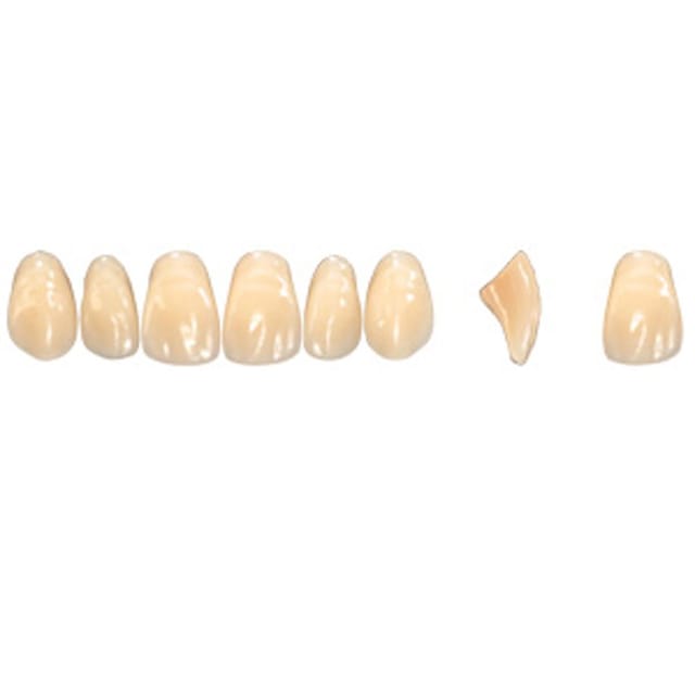 Pala Denture Teeth Mondial 6 Anterior CE - Upper T465