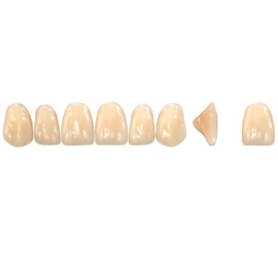 Pala Denture Teeth Mondial 6 Anterior CE - Upper T515E