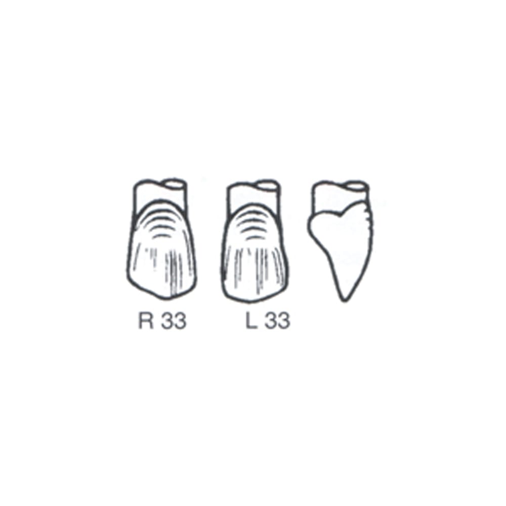 PD Crown Forms R+L Pair