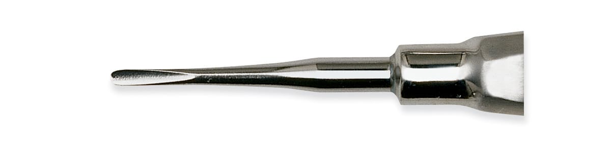 Elevator Hand Instrument #304 B Apical Blunt - Pack 1